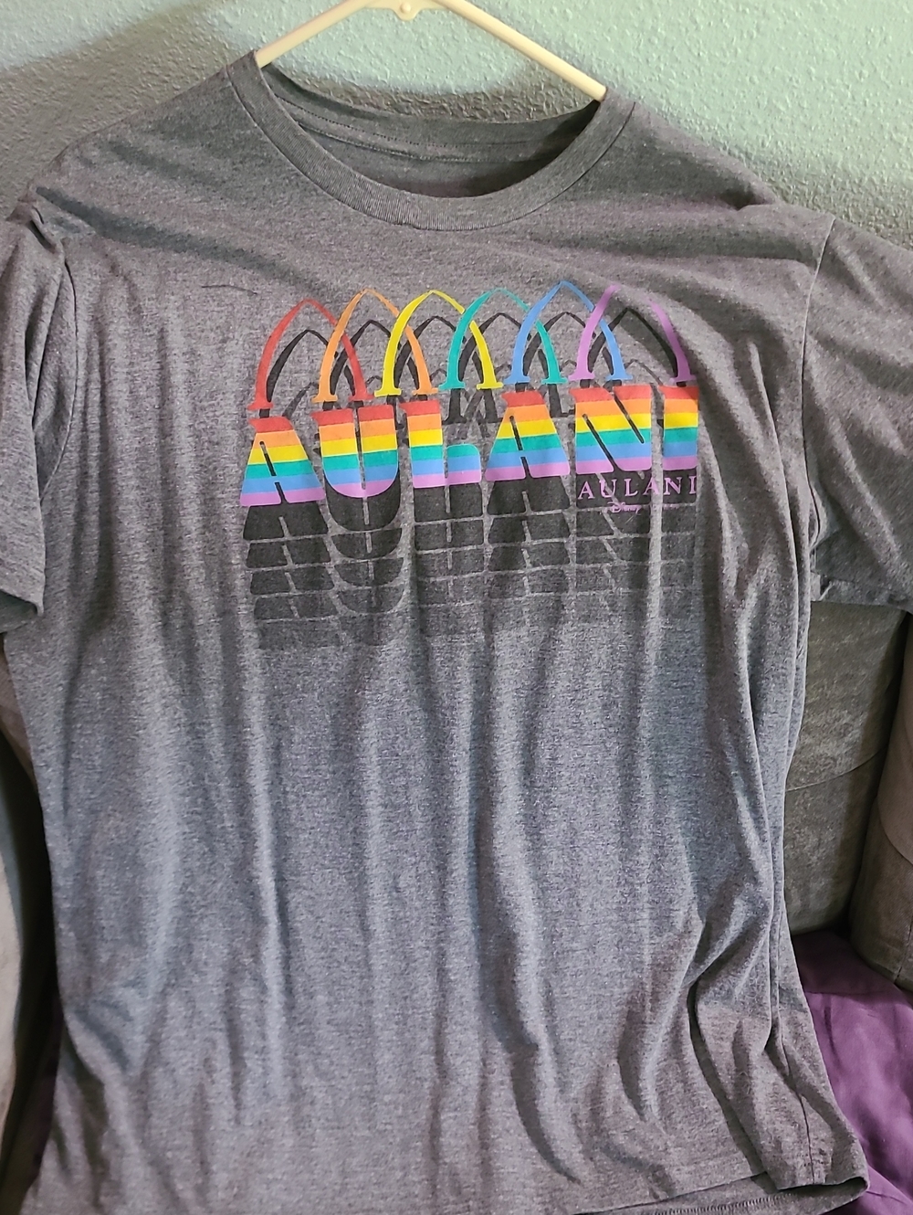 Disney Aulani T Shirt